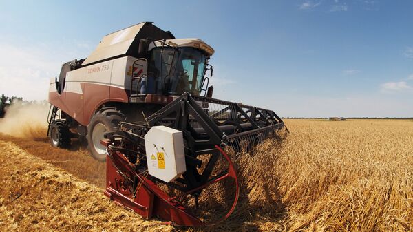 Colheita de trigo na região de Krasnodar, Rússia - Sputnik Brasil