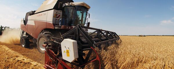Colheita de trigo na região de Krasnodar, Rússia Colheita de trigo na região de Krasnodar, Rússia - Sputnik Brasil