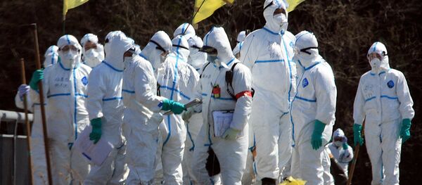 Policiais procuram por desaparecidos em Fukushima Policiais procuram por desaparecidos em Fukushima - Sputnik Brasil