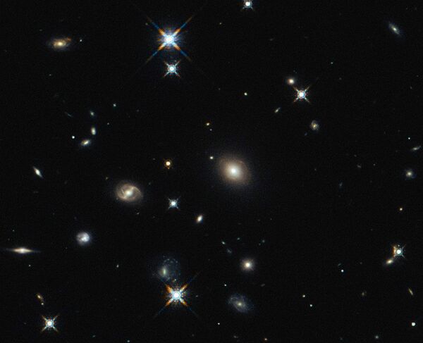 A imagem do Hubble mostra a galáxia SDP.81 - Sputnik Brasil