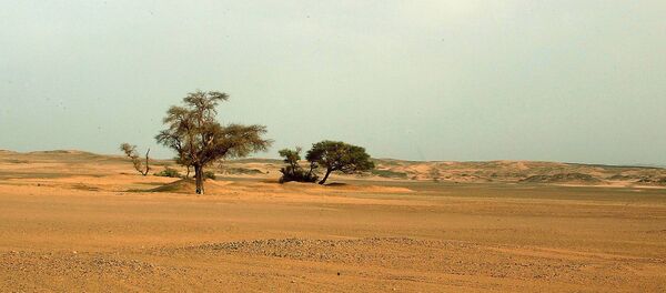 Deserto do Saara - Sputnik Brasil