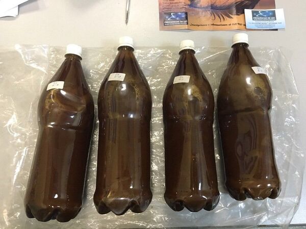 Garrafas de chá ayahuasca encontradas na bagagem de Eduardo Chianca Rocha - Sputnik Brasil