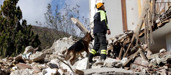 Vários milhares de pessoas ficaram desabrigadas em consequência do forte terremoto que ocorreu no centro da Itália - Sputnik Brasil