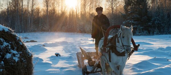 Carruagem na aldeia de Berezovka, Região de Tomsk - Sputnik Brasil
