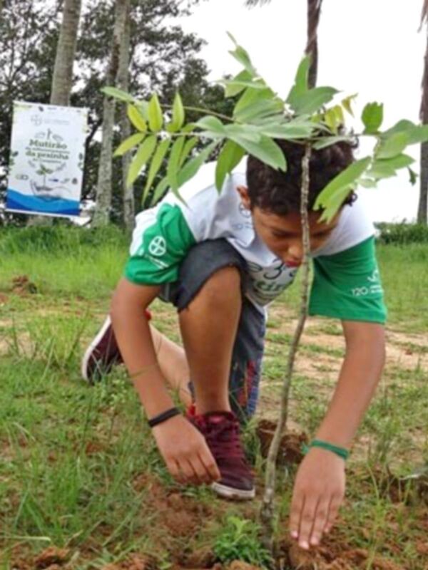 Crianças participam do reflorestamento em Cubatão Crianças participam do reflorestamento em Cubatão - Sputnik Brasil