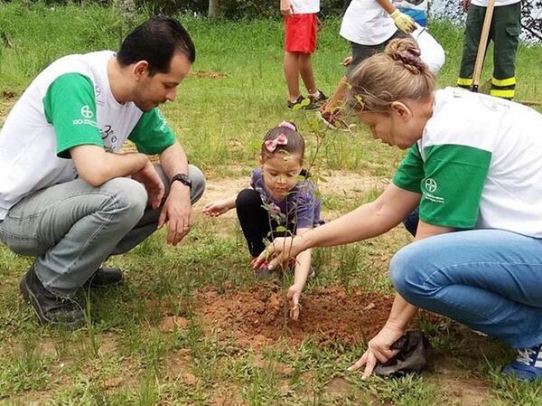 Pais e filhos aprendem juntos e ajudam no reflorestamento em Cubatão Pais e filhos aprendem juntos e ajudam no reflorestamento em Cubatão - Sputnik Brasil