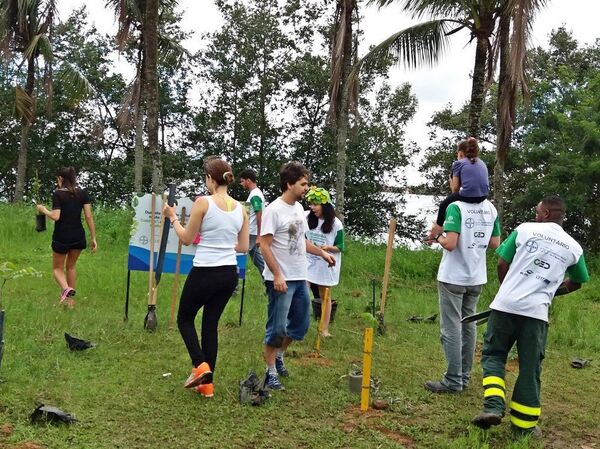 Voluntários realizando o plantio das mudas Voluntários realizando o plantio das mudas - Sputnik Brasil