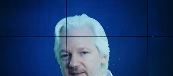 Jornalista e fundador do WikiLeaks Julian Assange ao dar um discurso on-line na conferência internacional sobre a mídia - Sputnik Brasil