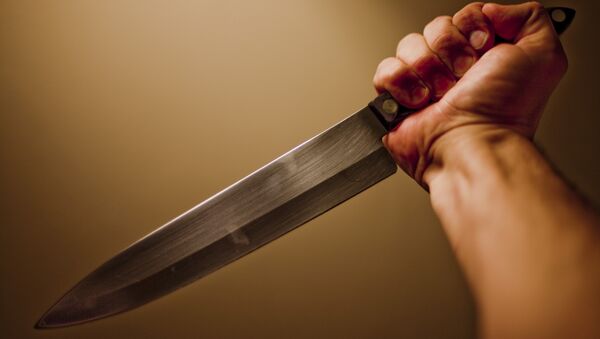 butcher knife - Sputnik Brasil