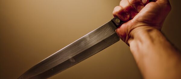 Faca - Sputnik Brasil