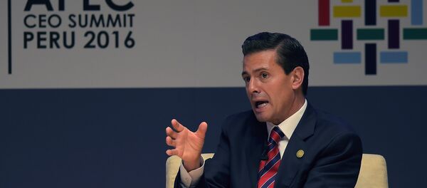 Enrique Pena Nieto APEC - Sputnik Brasil