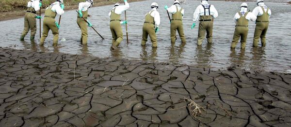 Japanese policemen search for bodies in the area devastated by the March 11 earthquake and tsunami in Minamisoma, inside the 20-kilometer (12-mile) evacuation zone, in Fukushima Prefecture - Sputnik Brasil