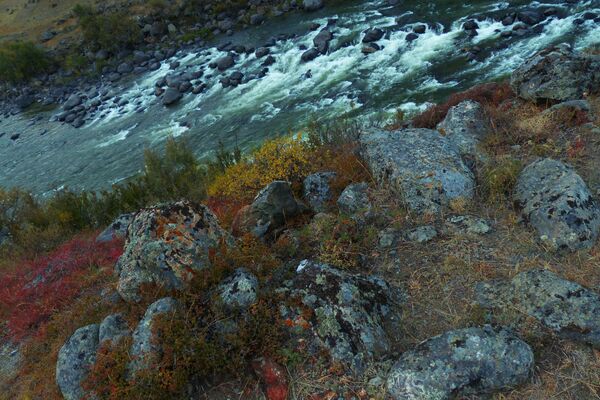 O rio Chulyshman, na República do Altai (perto da Sibéria), é um exemplo de rio de montanha. Altai é uma região com uma grande diversidade ecológica - Sputnik Brasil