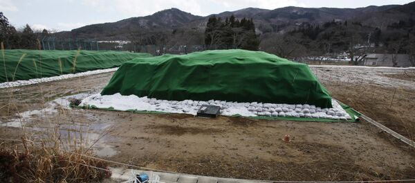 Piles of radiation-contaminated waste sit in a field in the abandoned town of Namie, outside the exclusion zone surrounding the Fukushima Dai-ichi nuclear plant in Japan (File) Piles of radiation-contaminated waste sit in a field in the abandoned town of Namie, outside the exclusion zone surrounding the Fukushima Dai-ichi nuclear plant in Japan (File) - Sputnik Brasil