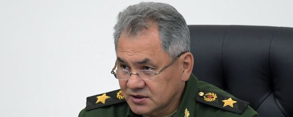 Ministro da Defesa russo Sergei Shoigu - Sputnik Brasil