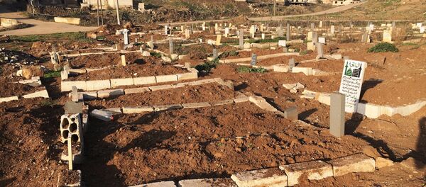 O exército sírio libertou a localidade de Osman - Sputnik Brasil