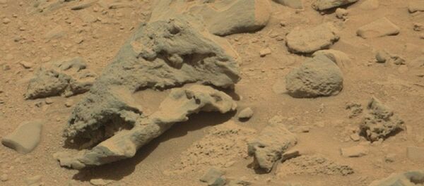 Suposto crânio de dinossauro em Marte Suposto crânio de dinossauro em Marte - Sputnik Brasil