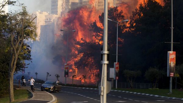 Pessoas correm de incêndios florestais em Haifa, Israel, quinta-feira, 24 de novembro de 2016 - Sputnik Brasil