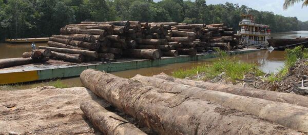 Desmatamento na Amazônia Desmatamento na Amazônia - Sputnik Brasil