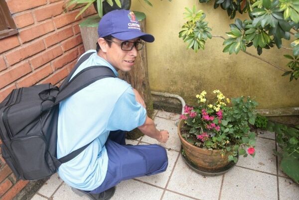 Governo Federal reúne força-tarefa para combater Aedes aegypti - Sputnik Brasil