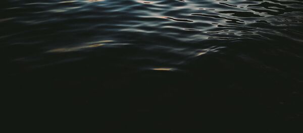 Águas do mar - Sputnik Brasil