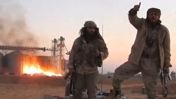 Captura de imagem de um vídeo publicado pela agência de notícias aliada do Daesh em Palmira em 11 de dezembro de 2016 - Sputnik Brasil