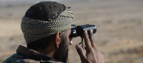 Um soldado do Exército Sírio está vigilando as posições dos militantes, a 20 km de Palmira, na Síria - Sputnik Brasil