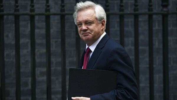 David Davis, secretário britânico de Estado da Saída da União Europeia - Sputnik Brasil