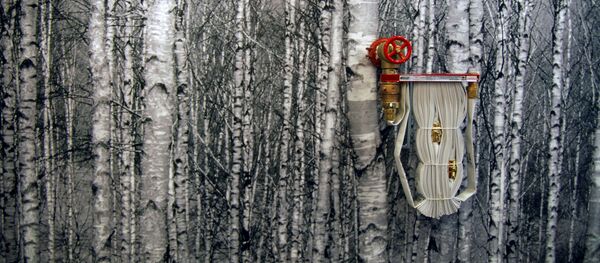 Nem sempre se pode acreditar no que se vê - Sputnik Brasil