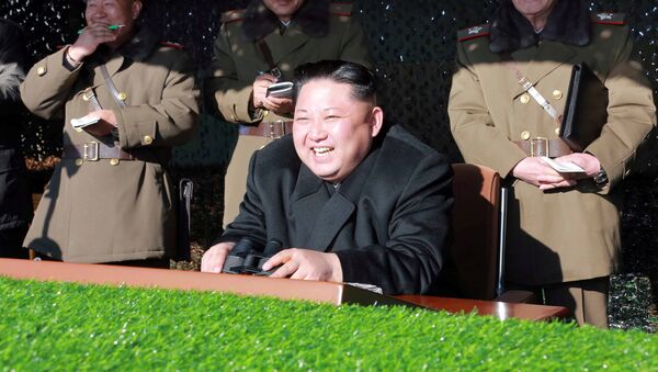Líder norte coreano, Kim Jong-un, observa treinamento militar (a foto sem data foi divulgada pela agência de notícias central da Coreia do Norte em 11 de dezembro de 2016) - Sputnik Brasil