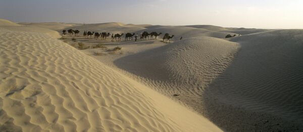 Caravana de camelos em deserto (imagem referencial) - Sputnik Brasil
