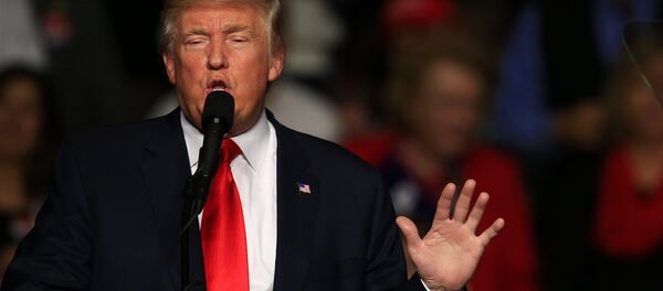 O presidente Donald Trump durante encontro com eleitores no Estado da Pensilvânia - Sputnik Brasil