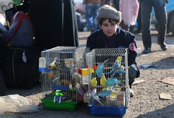 Menino sírio evacuado de Aleppo - Sputnik Brasil