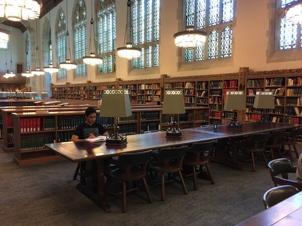 André na Biblioteca de Yale - Sputnik Brasil