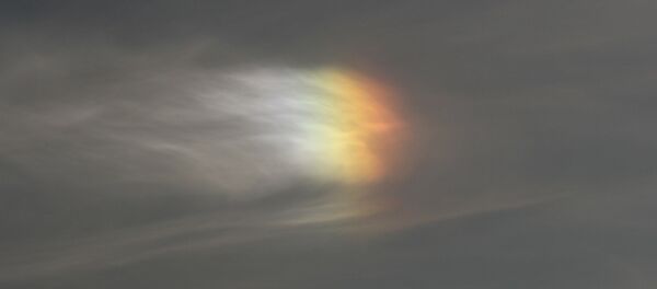 Um halo solar - Sputnik Brasil