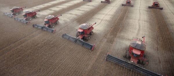 Bird prevê crescimento menor para o Brasil Bird prevê crescimento menor para o Brasil - Sputnik Brasil