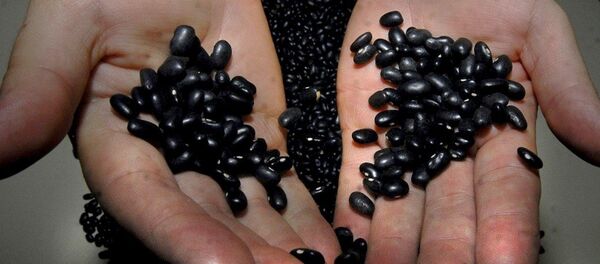 O feijão apresentou queda no preço de novembro para dezembro O feijão apresentou queda no preço de novembro para dezembro - Sputnik Brasil