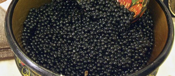 Terceira exibição internacional Peixe 2003. Pesca Comercial e Processamento de Pescado - Sputnik Brasil