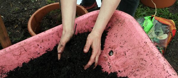 Solo em mãos - Sputnik Brasil