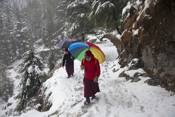 Monges budistas em caminho coberto de neve em Dharmsala, na Índia - Sputnik Brasil