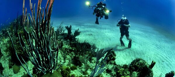 Exploração do fundo marítimo - Sputnik Brasil