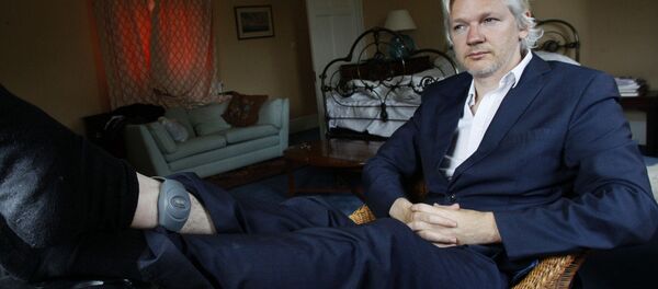 Julian Assange, fundador do Wikileaks - Sputnik Brasil