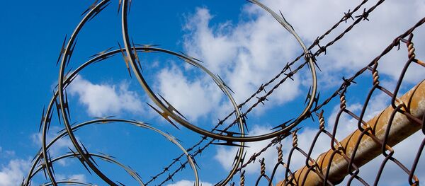 Arame farpado - Sputnik Brasil