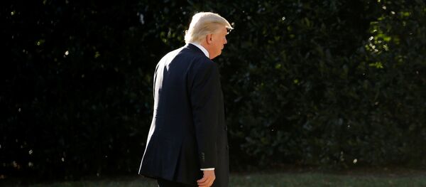 O presidente dos EUA, Donald Trump, volta à Casa Branca após uma visita ao Departamento de Segurança Interna dos Estados Unidos - Sputnik Brasil