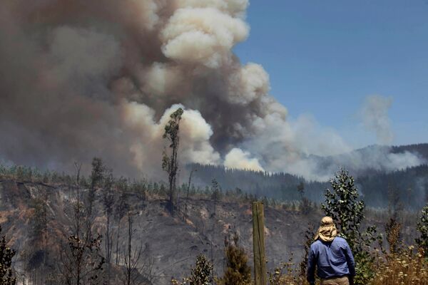 Habitante rural observa um incêndio florestal no Chile. - Sputnik Brasil