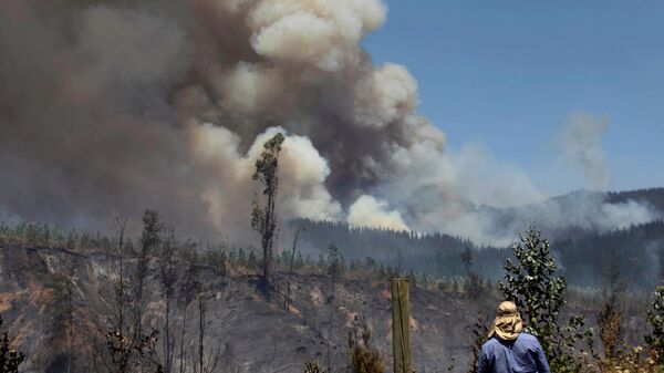 Habitante rural observa um incêndio florestal no Chile. - Sputnik Brasil