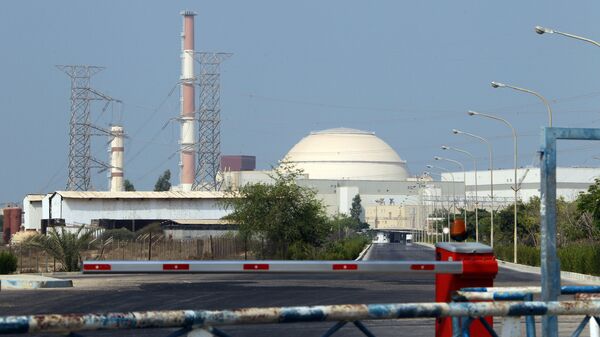A general view shows the reactor building at the Bushehr nuclear power plant in southern Iran, 1200 kms south of Tehran, on August 20, 2010 - Sputnik Brasil