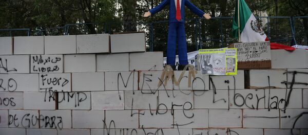 Um muro de Trump de cartolina foi montado na Cidade do México para protestar contra o presidente norte-americano - Sputnik Brasil