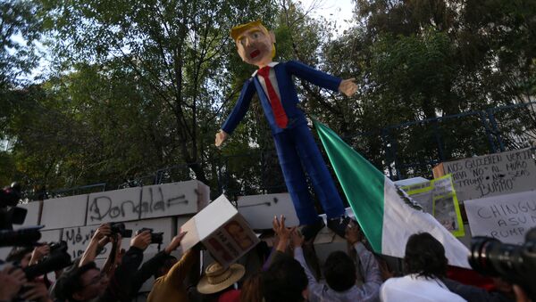 Protesta contra la investidura de Trump en México - Sputnik Brasil