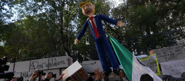 Protestos contra Donald Trump na Cidade do México - Sputnik Brasil